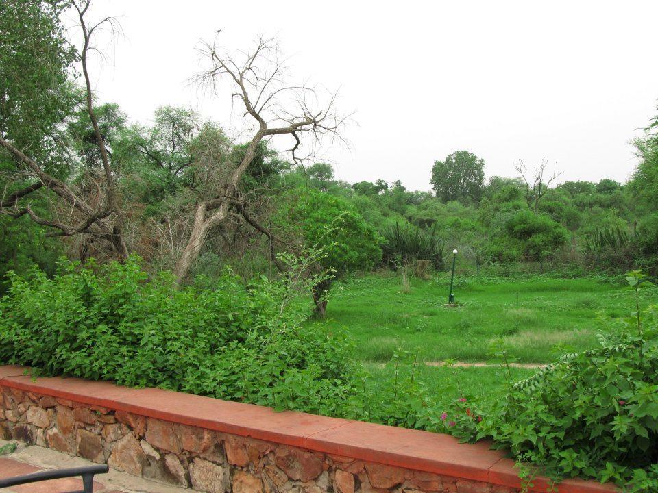 Hotel Bharatpur Ashok Dış mekan fotoğraf
