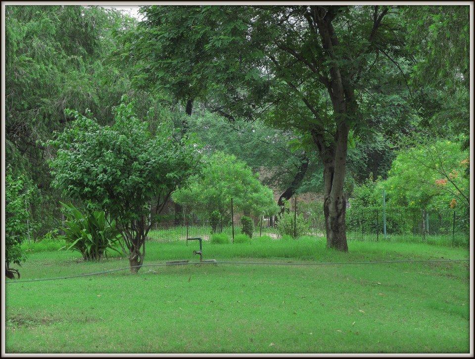 Hotel Bharatpur Ashok Dış mekan fotoğraf